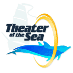 Visit Theater of the Sea