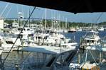 So many boats--so little time!!